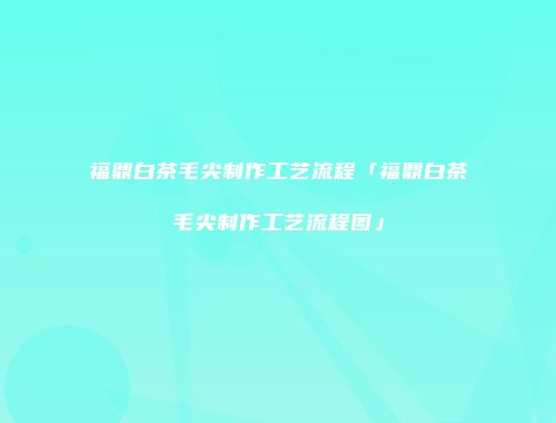 福鼎白茶毛尖制作工艺流程「福鼎白茶毛尖制作工艺流程图」