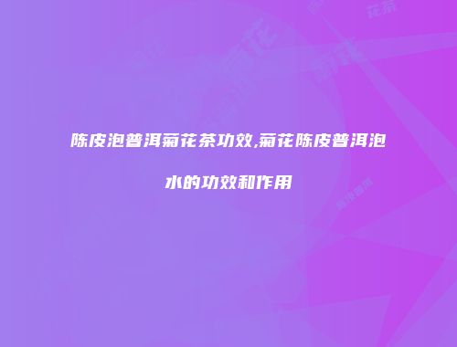 陈皮泡普洱菊花茶功效,菊花陈皮普洱泡水的功效和作用