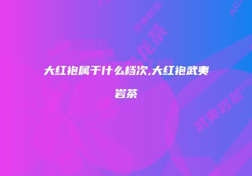 大红袍属于什么档次,大红袍武夷岩茶