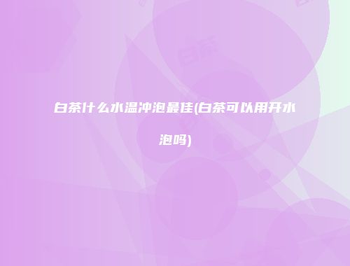 白茶什么水温冲泡最佳(白茶可以用开水泡吗)