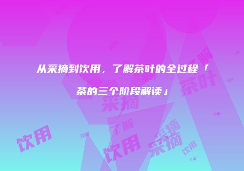 从采摘到饮用，了解茶叶的全过程「茶的三个阶段解读」