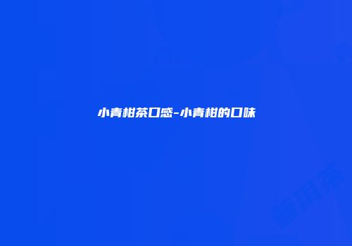 小青柑茶口感-小青柑的口味