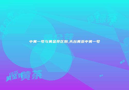 中黄一号与黄金芽区别,天台黄茶中黄一号