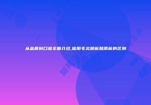 从品质到口感全面介绍,信阳毛尖明前和雨前的区别