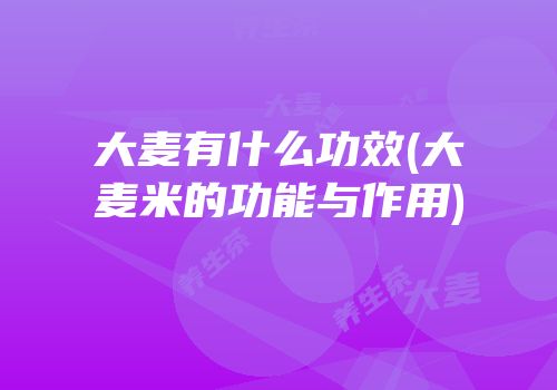大麦有什么功效(大麦米的功能与作用)