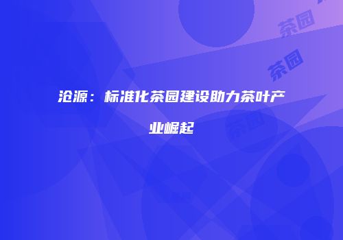 沧源：标准化茶园建设助力茶叶产业崛起