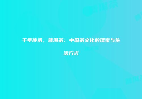 千年传承，普洱茶：中国茶文化的瑰宝与生活方式