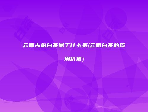 云南古树白茶属于什么茶(云南白茶的药用价值)