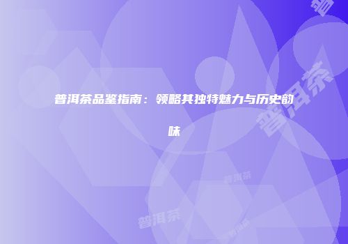 普洱茶品鉴指南：领略其独特魅力与历史韵味