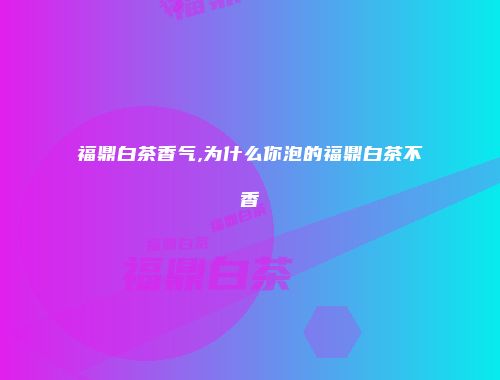 福鼎白茶香气,为什么你泡的福鼎白茶不香
