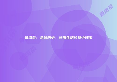 普洱茶：品味历史，感悟生活的茶中瑰宝