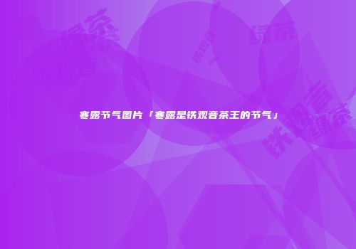 寒露节气图片「寒露是铁观音茶王的节气」