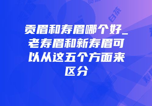 贡眉和寿眉哪个好_老寿眉和新寿眉可以从这五个方面来区分
