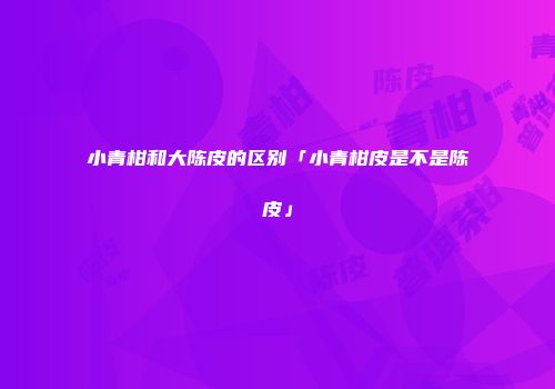 小青柑和大陈皮的区别「小青柑皮是不是陈皮」
