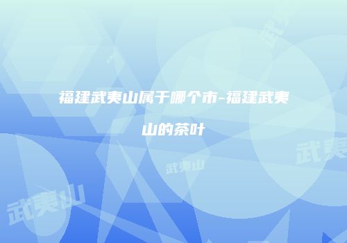 福建武夷山属于哪个市-福建武夷山的茶叶