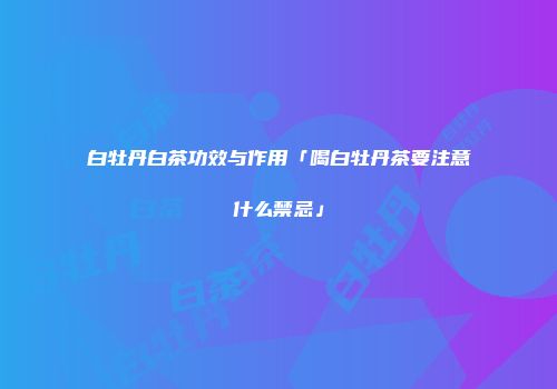 白牡丹白茶功效与作用「喝白牡丹茶要注意什么禁忌」