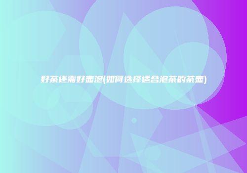 好茶还需好壶泡(如何选择适合泡茶的茶壶)