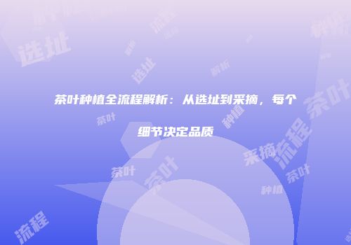 茶叶种植全流程解析：从选址到采摘，每个细节决定品质