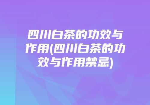 四川白茶的功效与作用(四川白茶的功效与作用禁忌)