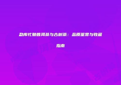 勐库忙肺普洱茶与古树茶：品质鉴赏与收藏指南