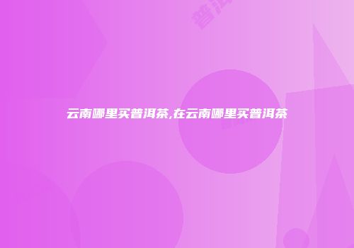 云南哪里买普洱茶,在云南哪里买普洱茶
