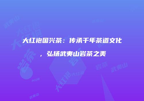 大红袍国兴茶：传承千年茶道文化，弘扬武夷山岩茶之美