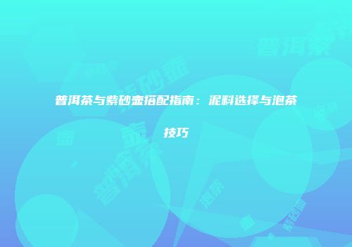 普洱茶与紫砂壶搭配指南：泥料选择与泡茶技巧