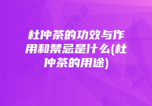 杜仲茶的功效与作用和禁忌是什么(杜仲茶的用途)