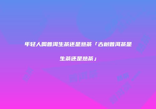 年轻人喝普洱生茶还是熟茶「古树普洱茶是生茶还是熟茶」