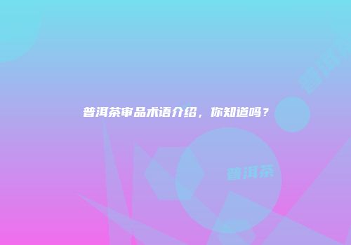 普洱茶审品术语介绍，你知道吗？