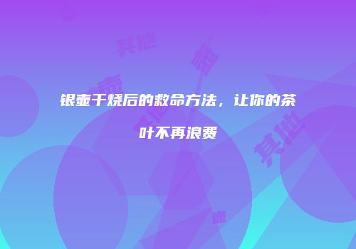 银壶干烧后的救命方法，让你的茶叶不再浪费