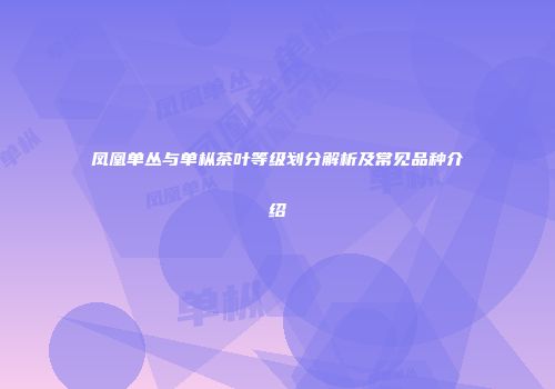 凤凰单丛与单枞茶叶等级划分解析及常见品种介绍