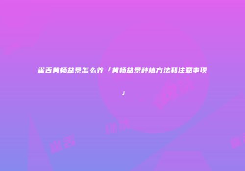 雀舌黄杨盆景怎么养「黄杨盆景种植方法和注意事项」