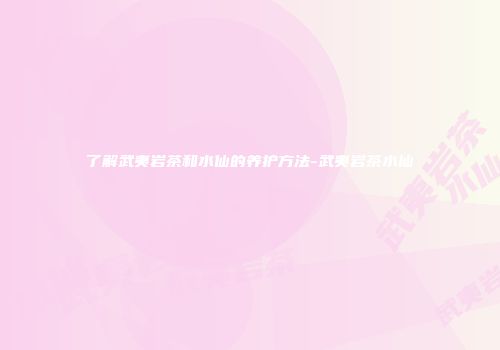 了解武夷岩茶和水仙的养护方法-武夷岩茶水仙