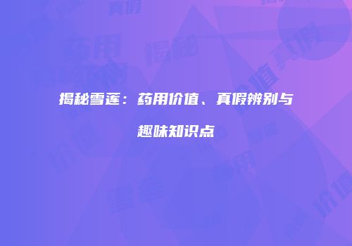 揭秘雪莲：药用价值、真假辨别与趣味知识点