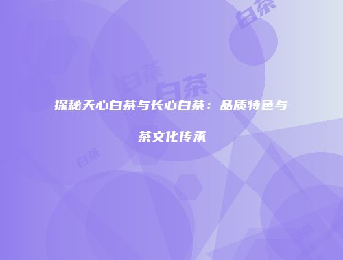 探秘天心白茶与长心白茶：品质特色与茶文化传承