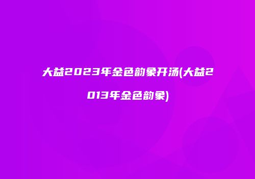 大益2023年金色韵象开汤(大益2013年金色韵象)