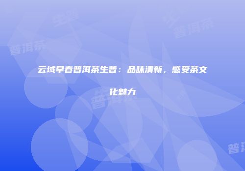 云域早春普洱茶生普：品味清新，感受茶文化魅力