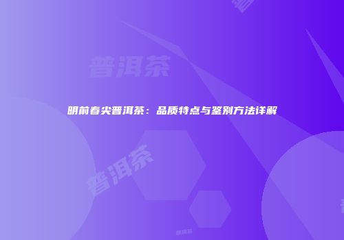 明前春尖普洱茶：品质特点与鉴别方法详解