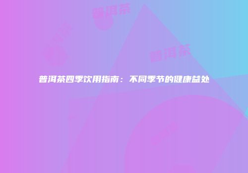 普洱茶四季饮用指南：不同季节的健康益处
