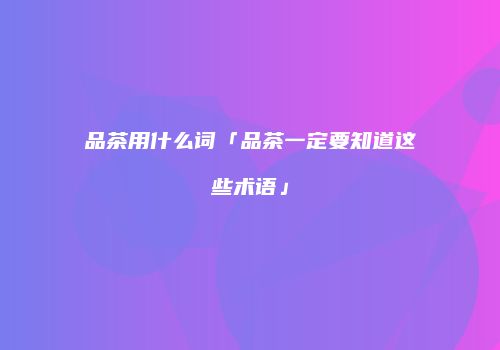 品茶用什么词「品茶一定要知道这些术语」