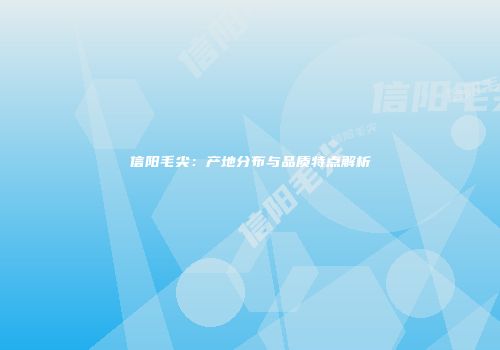 信阳毛尖：产地分布与品质特点解析