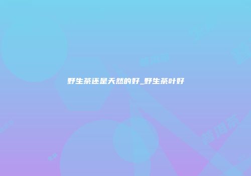 野生茶还是天然的好_野生茶叶好