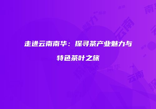 走进云南南华：探寻茶产业魅力与特色茶叶之旅