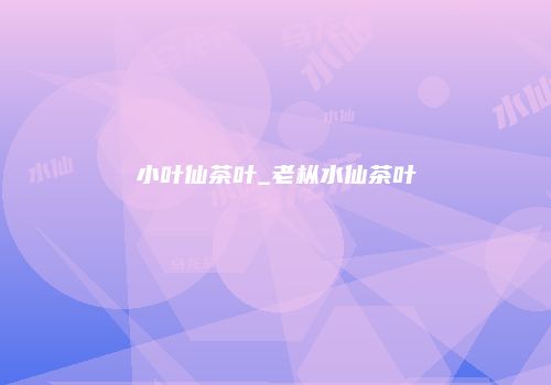 小叶仙茶叶_老枞水仙茶叶