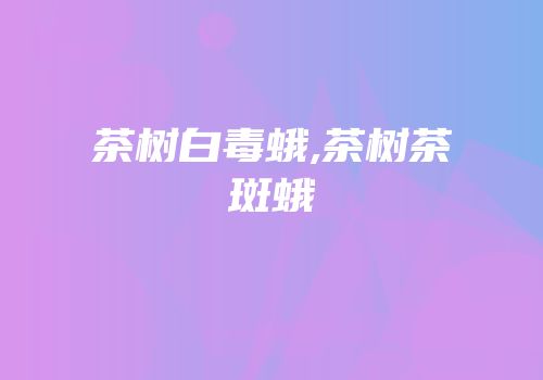 茶树白毒蛾,茶树茶斑蛾
