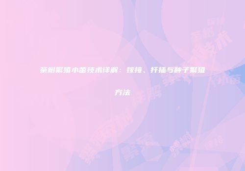 茶树繁殖小苗技术详解：嫁接、扦插与种子繁殖方法
