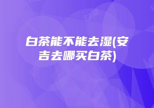 白茶能不能去湿(安吉去哪买白茶)