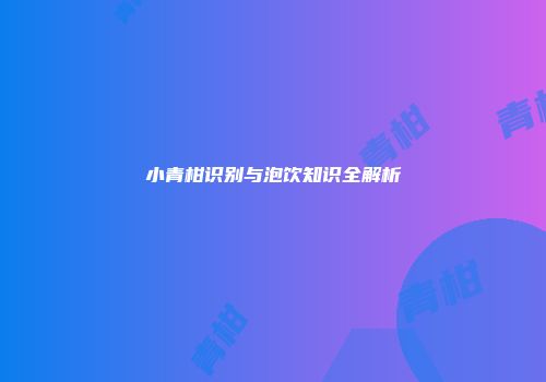 小青柑识别与泡饮知识全解析