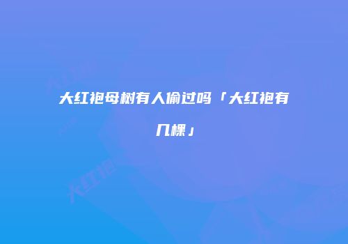 大红袍母树有人偷过吗「大红袍有几棵」